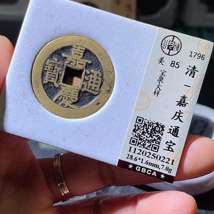 铜嘉庆大样28+华夏天玺总店221