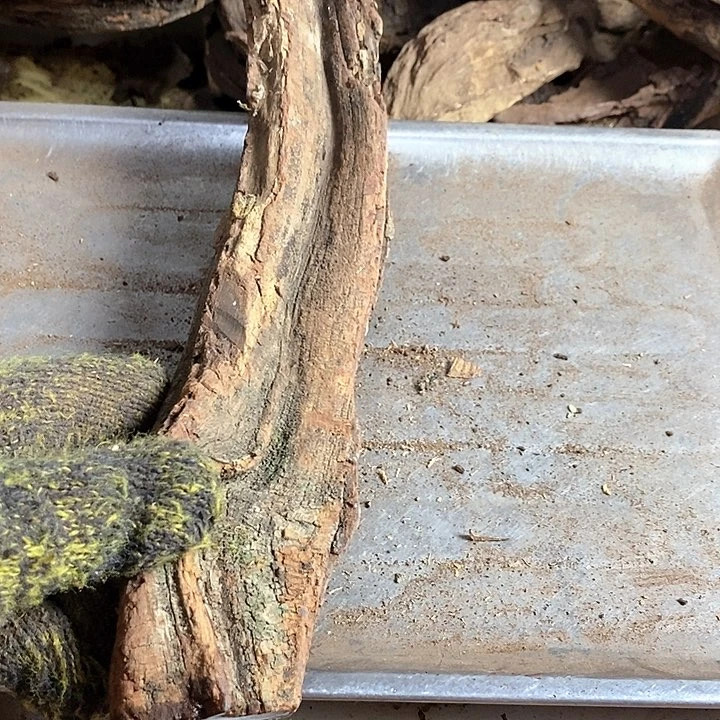 黄花梨/降香黄檀自****。