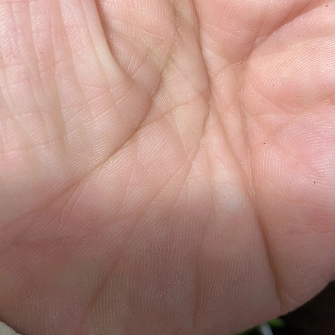 完全开放运费补拍