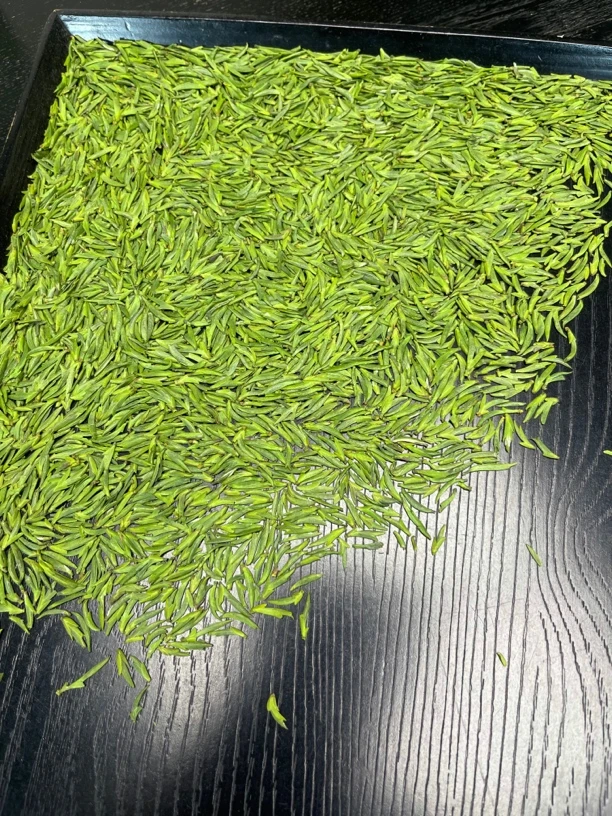 【2025新茶】新茶 单芽 头采 绿茶 独芽兰花香