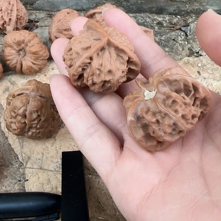 鑫***鑫文玩核桃把件三棱