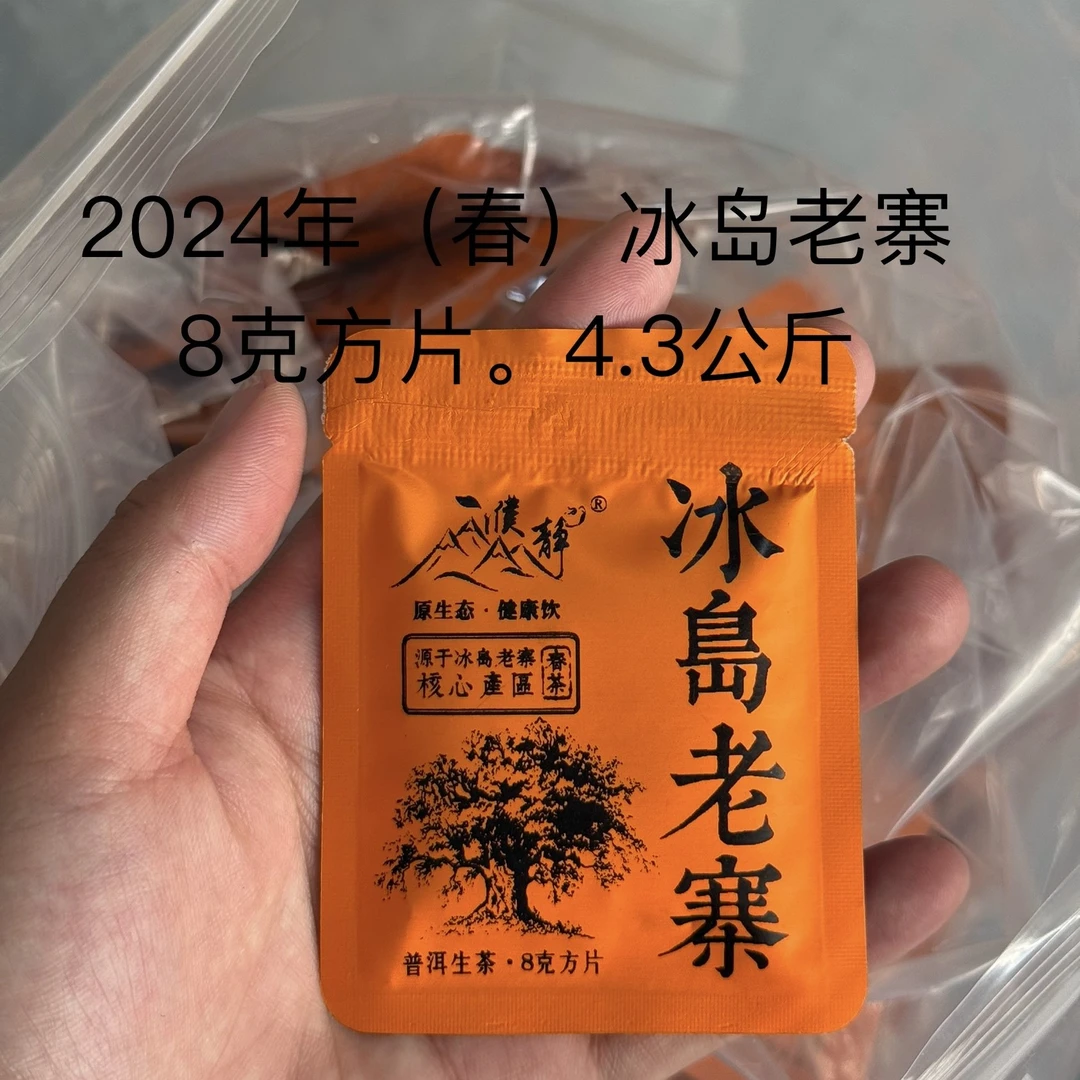 濮静【孤品4.3公斤】2024年头春/冰岛老寨百年古树方片/15片/高货
