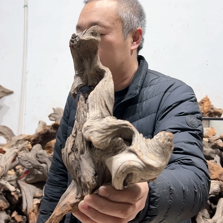 柏木天**川我们都是好孩子呀我