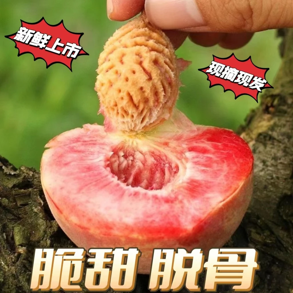百花桃贵州新鲜水果特产现货毛桃仙桃红宝石水蜜桃子百花四月桃