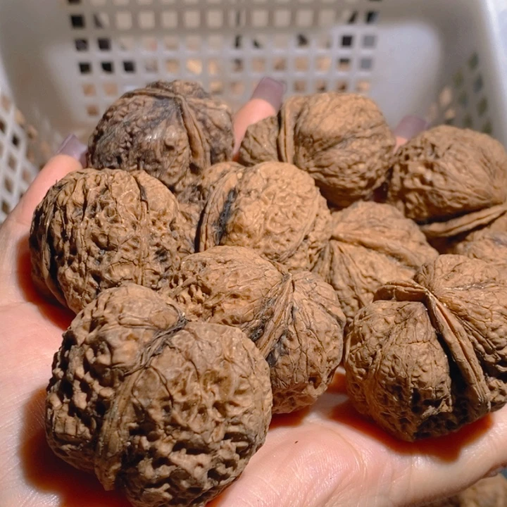 野生铁核桃手把件10颗