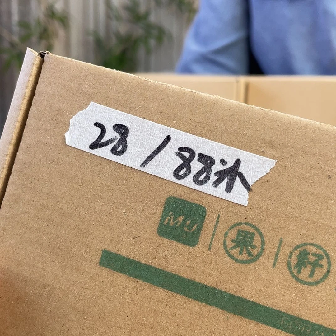 桃核把件28号文玩核桃