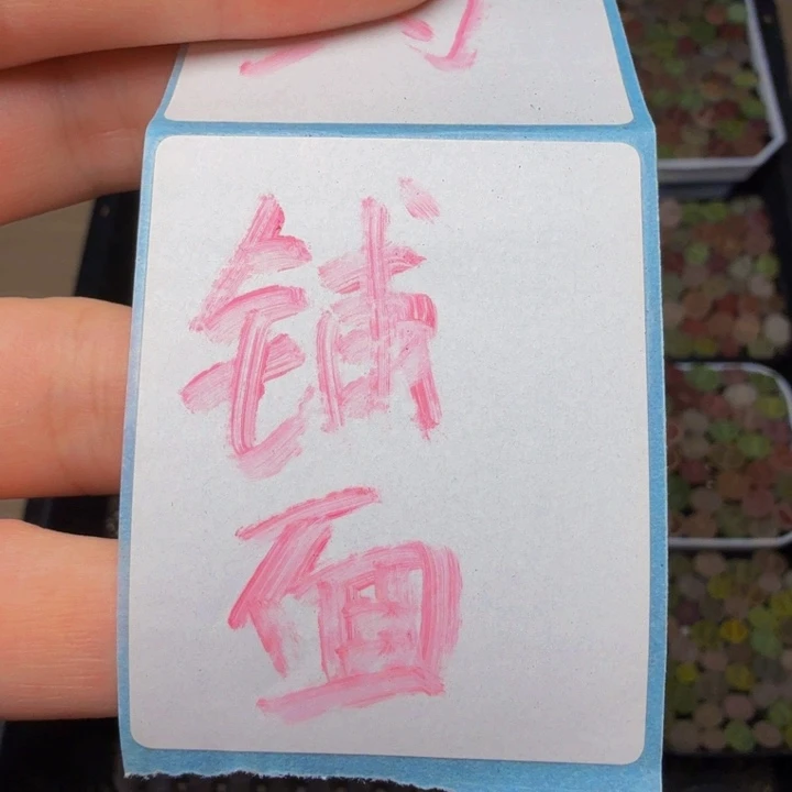 铺面铺面铺面铺面