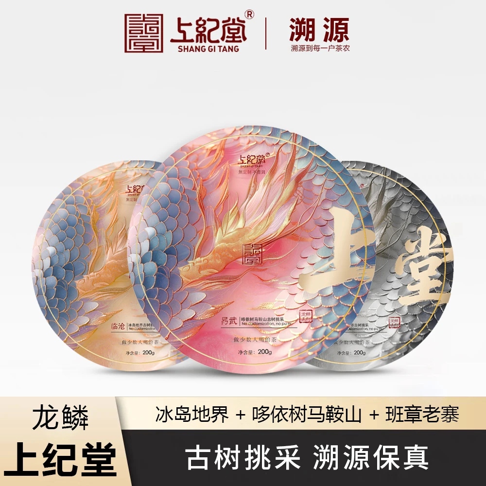 上纪堂溯源 2025年龙鳞系列 普洱茶 生茶