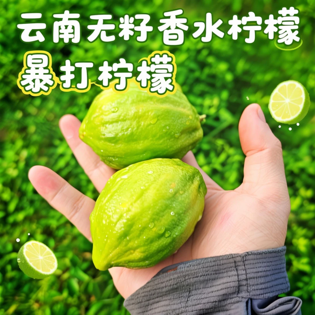 云南特产直发新鲜无籽香水柠檬暴打柠檬皮薄酸甜多汁应季水果