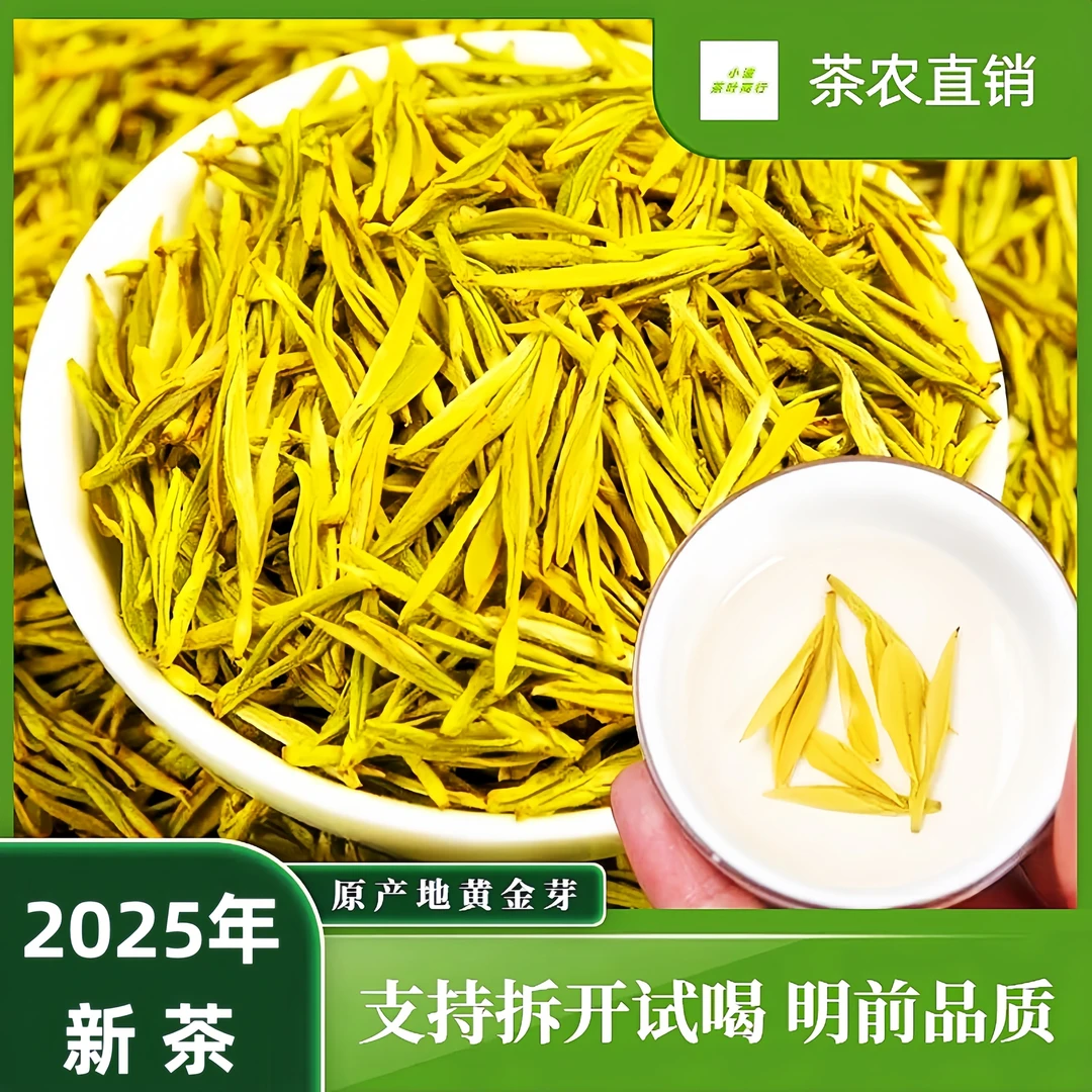 2025年新茶黄金芽春茶明前采摘绿茶浓香型高山豆香黄茶