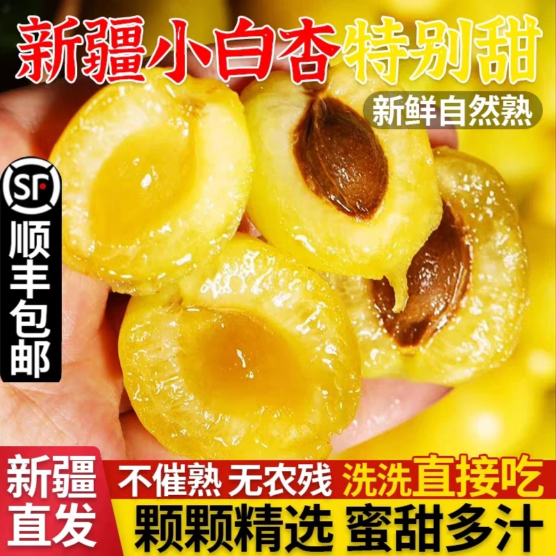 疆美美小白杏新疆新鲜水果轮台小白杏甜杏子当季特产顺丰包邮