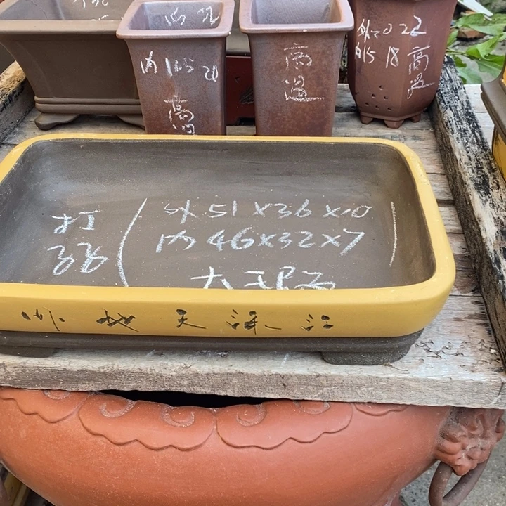 花盆紫砂身体健康心无挂碍无挂碍故宫