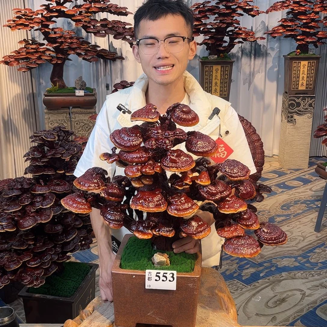 无花朵8888888888888