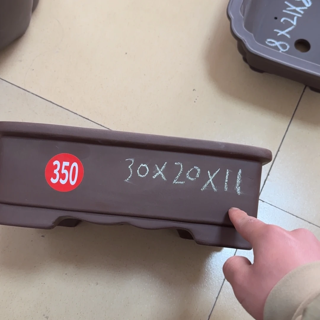紫砂花盆我呜呜呜呜呜