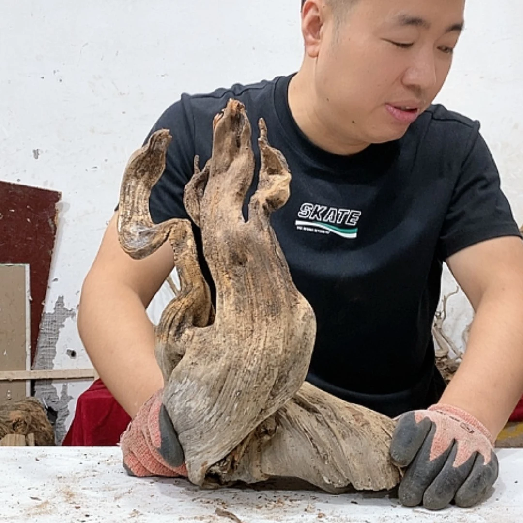 【闪购商品】柏木幸*纪我们都是好孩子