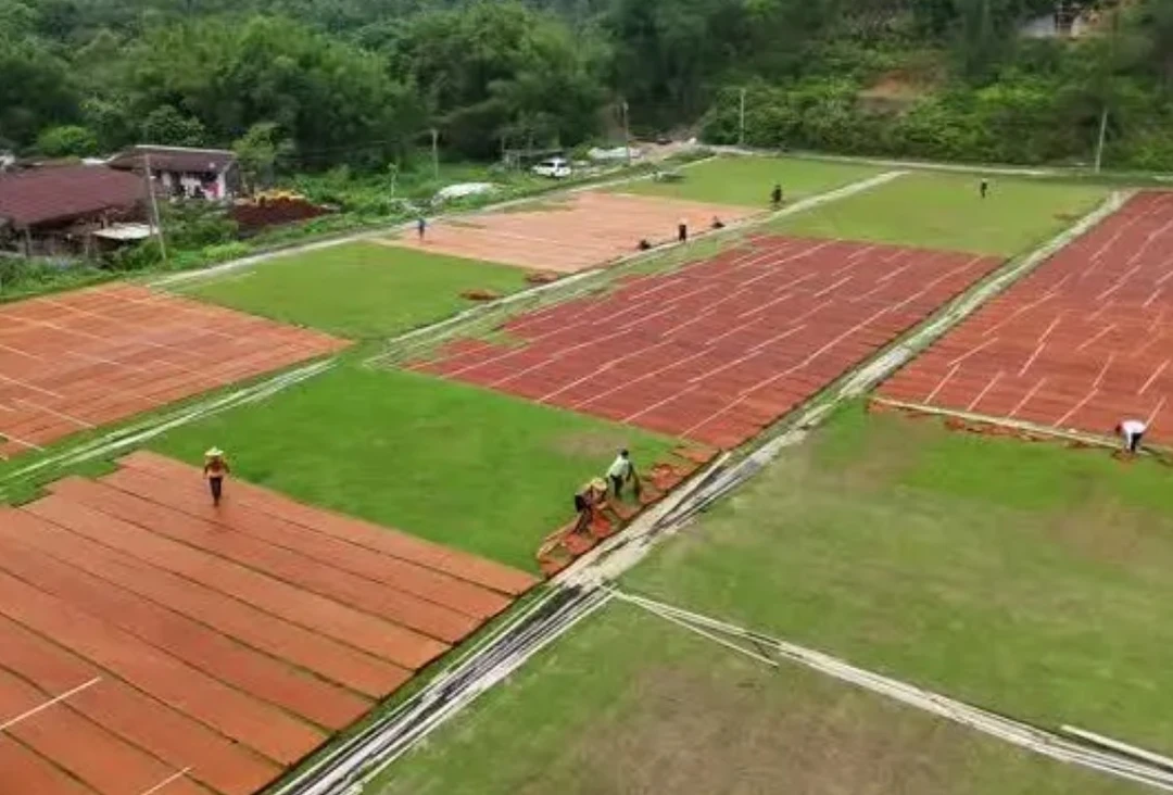 定制香云纱面料12号桑蚕丝链接 不支持7天无理由退货 介意慎拍220