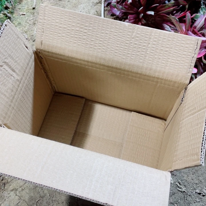 38节福利5号箱发货