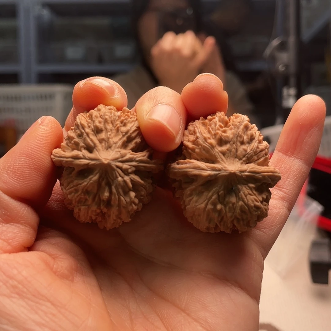 137狮子头一颗都18.9