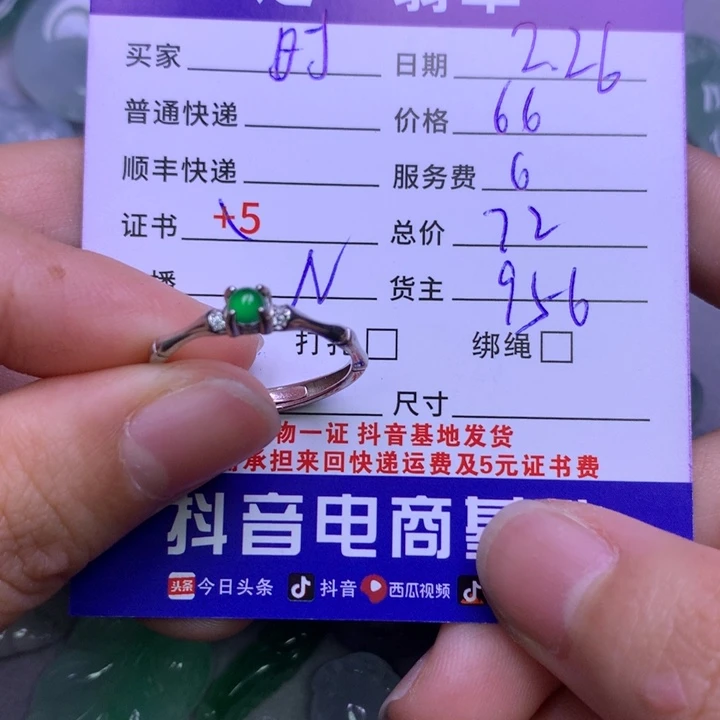 翡翠颈饰银S925镶嵌時**.