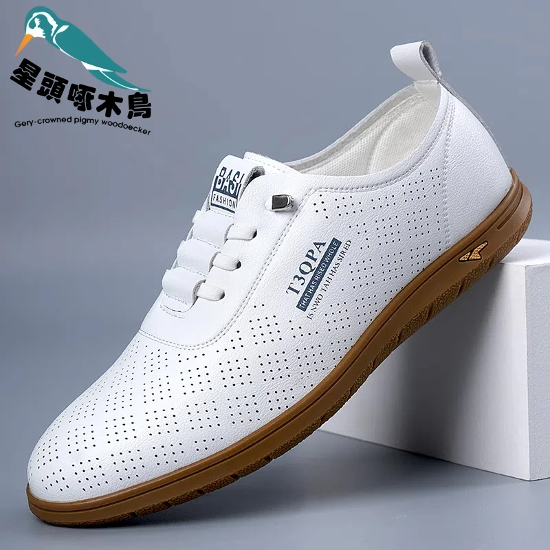星头啄木鸟男鞋春季新款男士时尚透气百搭软底软面驾车一脚蹬鞋