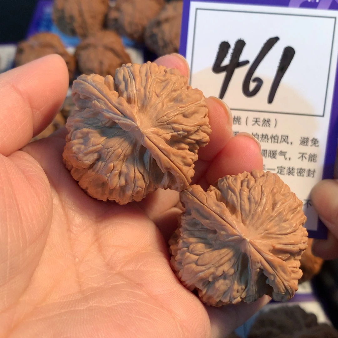 文玩核桃把件461白狮子4.0