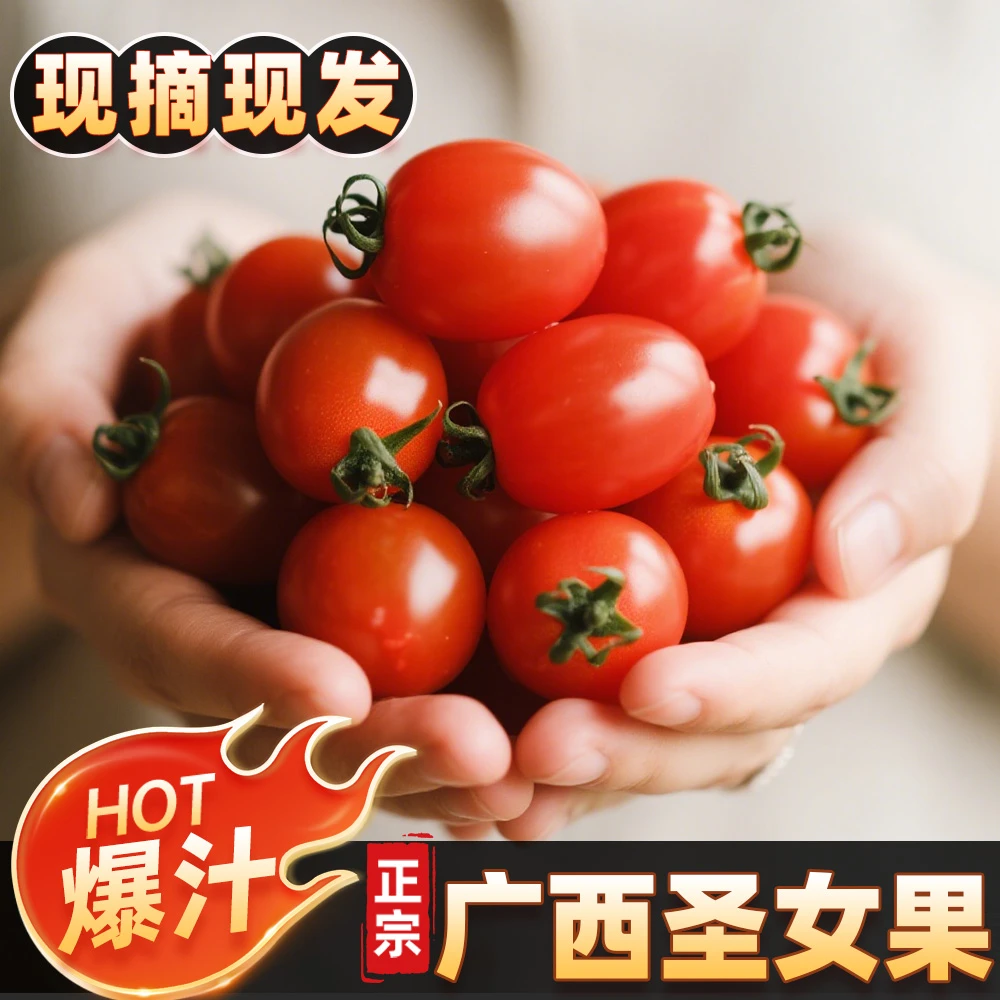 广西圣女果小番茄水果西红柿皮薄软嫩多汁新鲜生吃