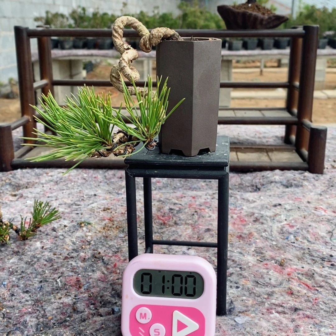 手工艺品琉璃显*