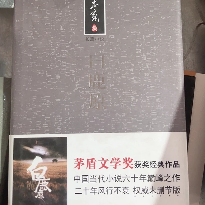 白路原全新推荐精装