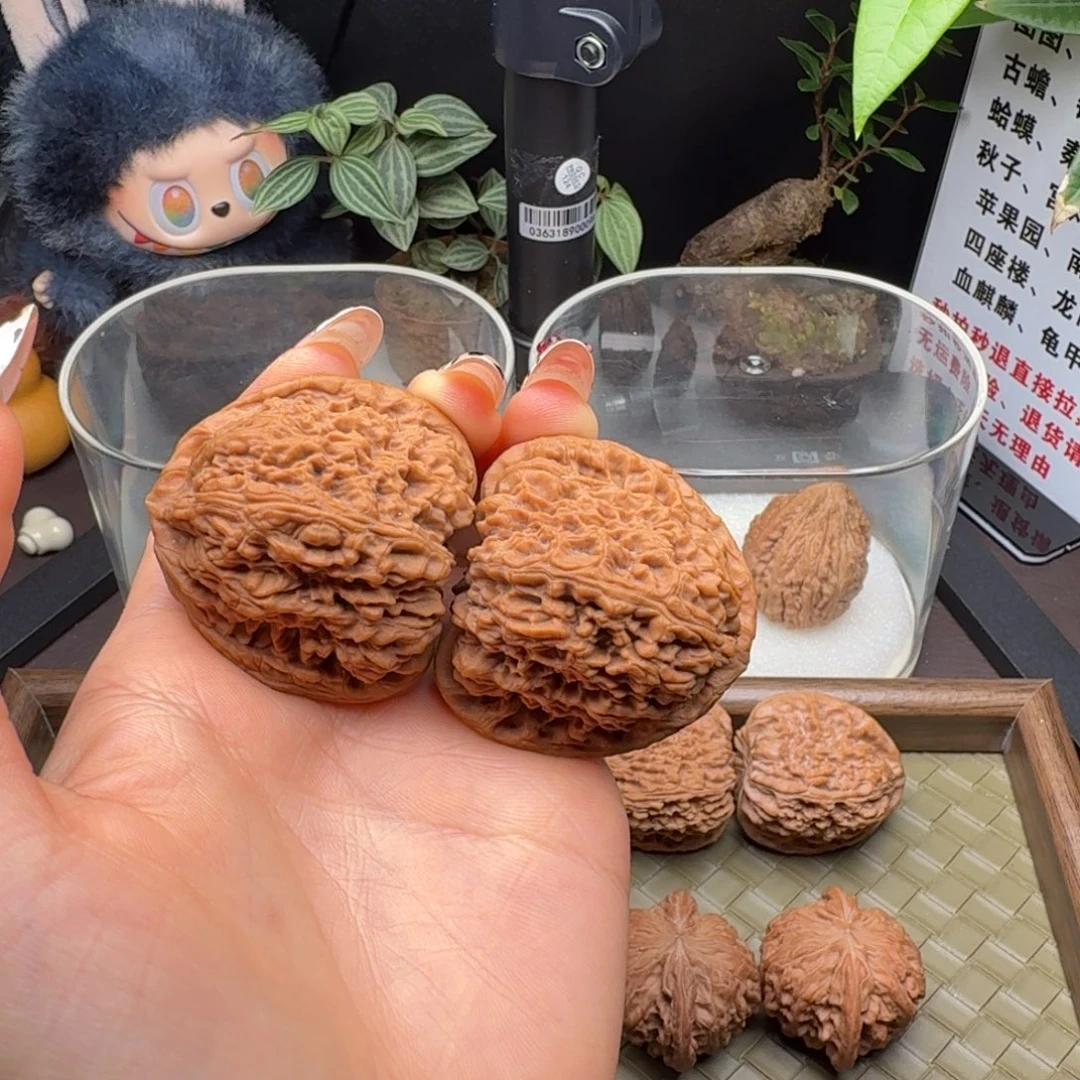 核桃全品三角疆43