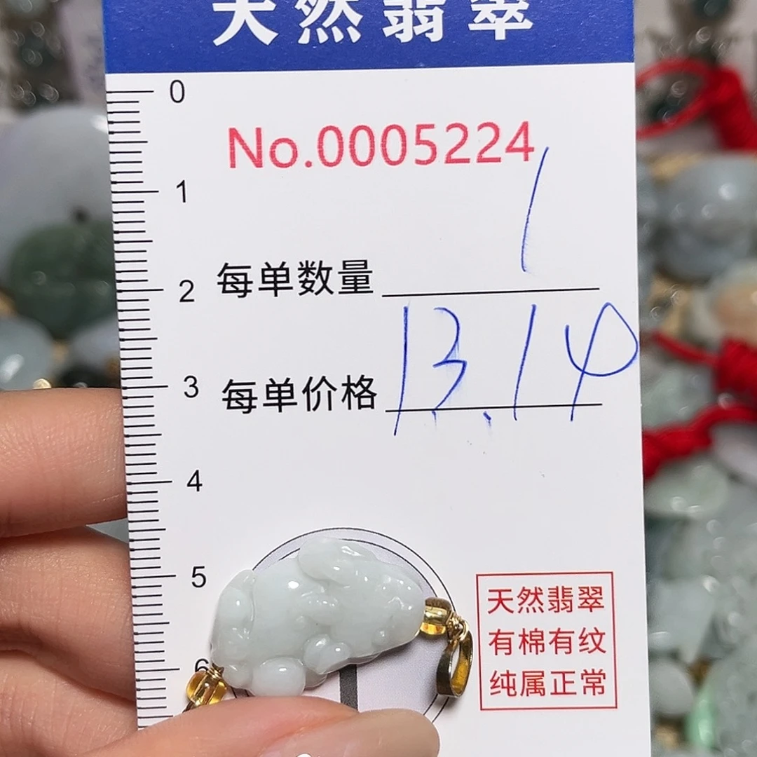 翡翠未镶嵌颈饰貔貅