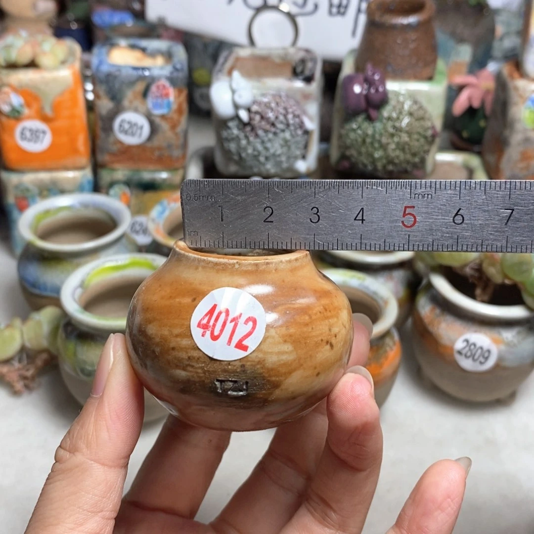 拍5送一个小礼物