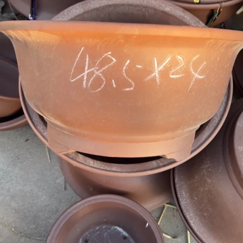 80-1。        48.5-24