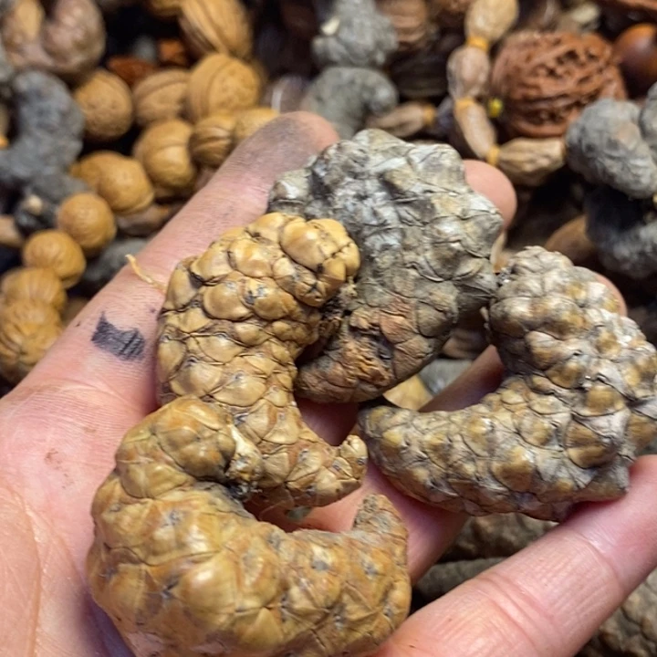 桃核吊坠娜姐真的84