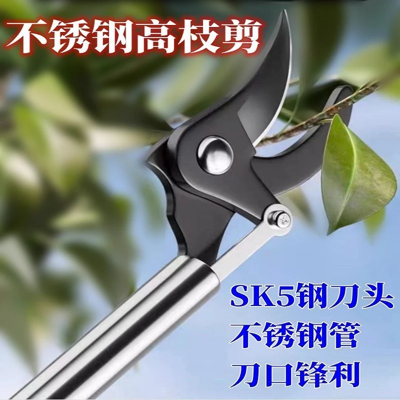 摘果神器花椒龙眼水果树枝剪伸缩高空剪高枝剪荔枝摘果摘果高枝剪