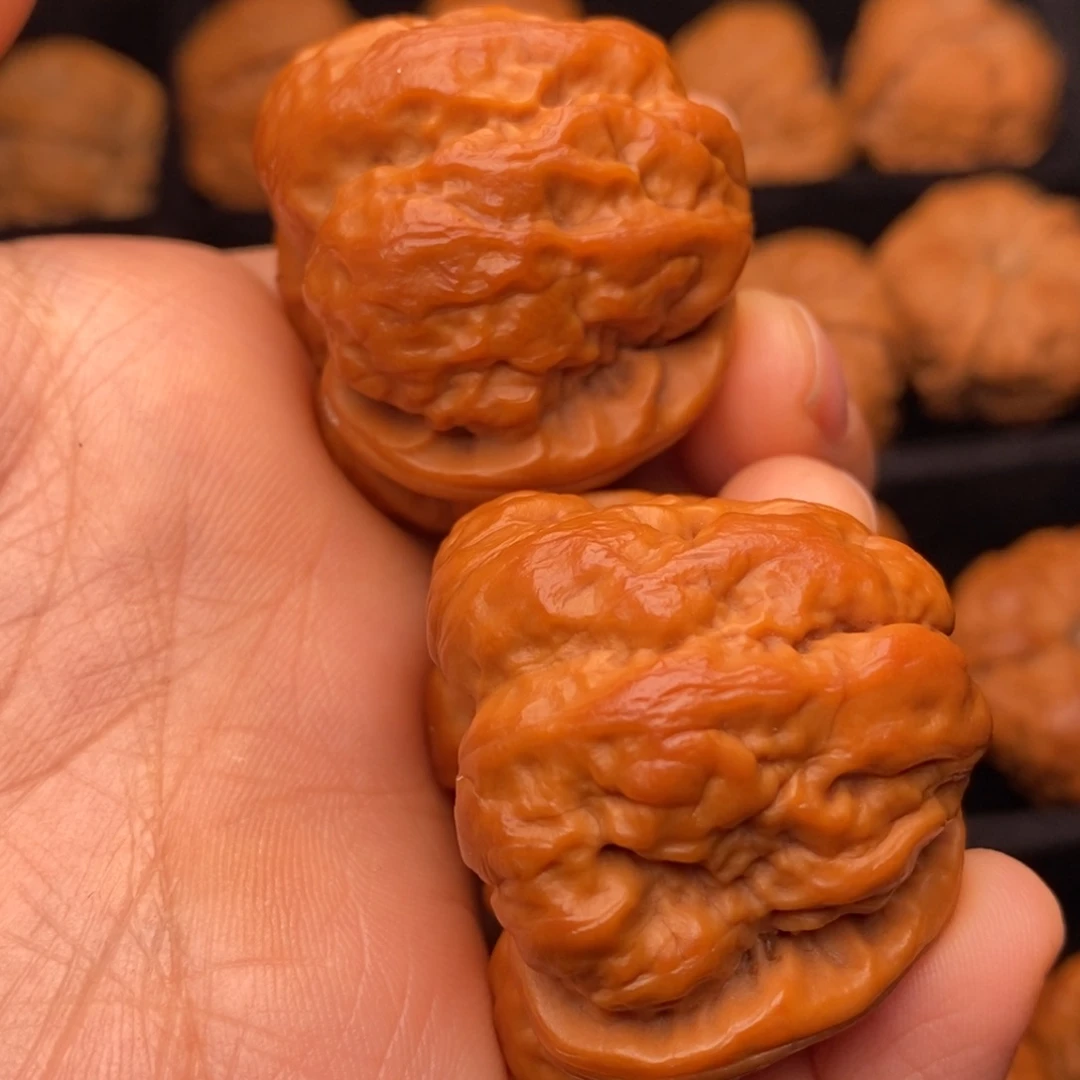 秦岭野生文玩核桃