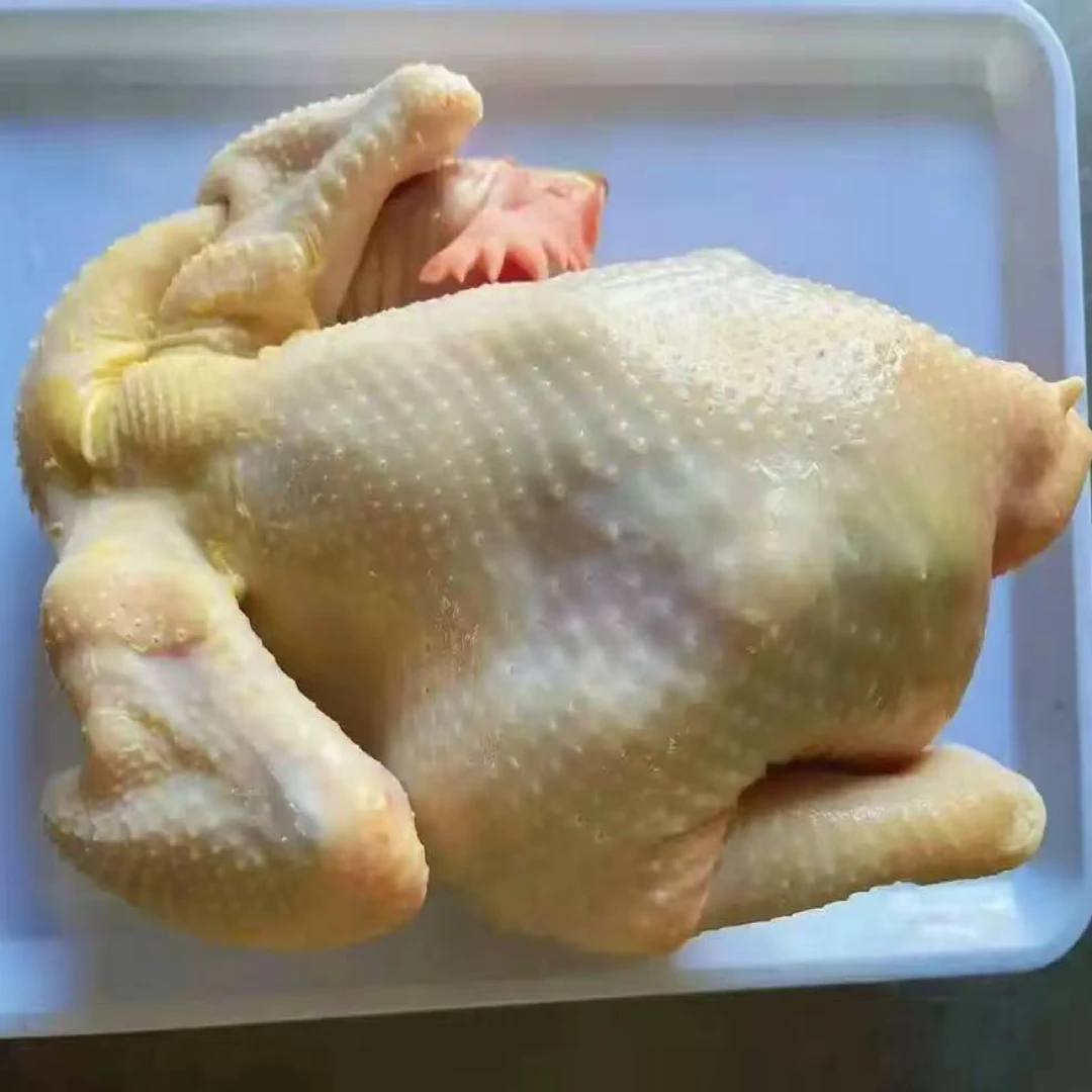 五淮村农户散养母鸡4年【顺丰冷链发货】