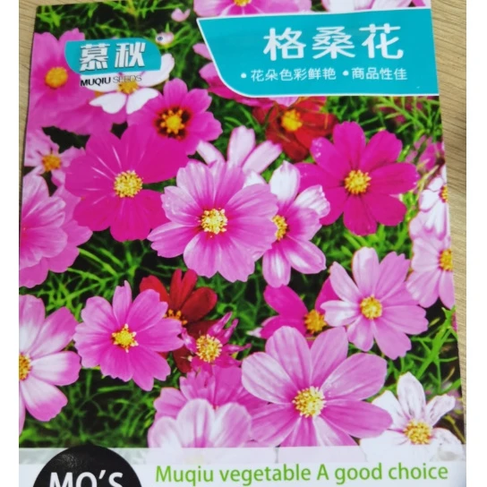 【满5包包邮】含羞草花种子