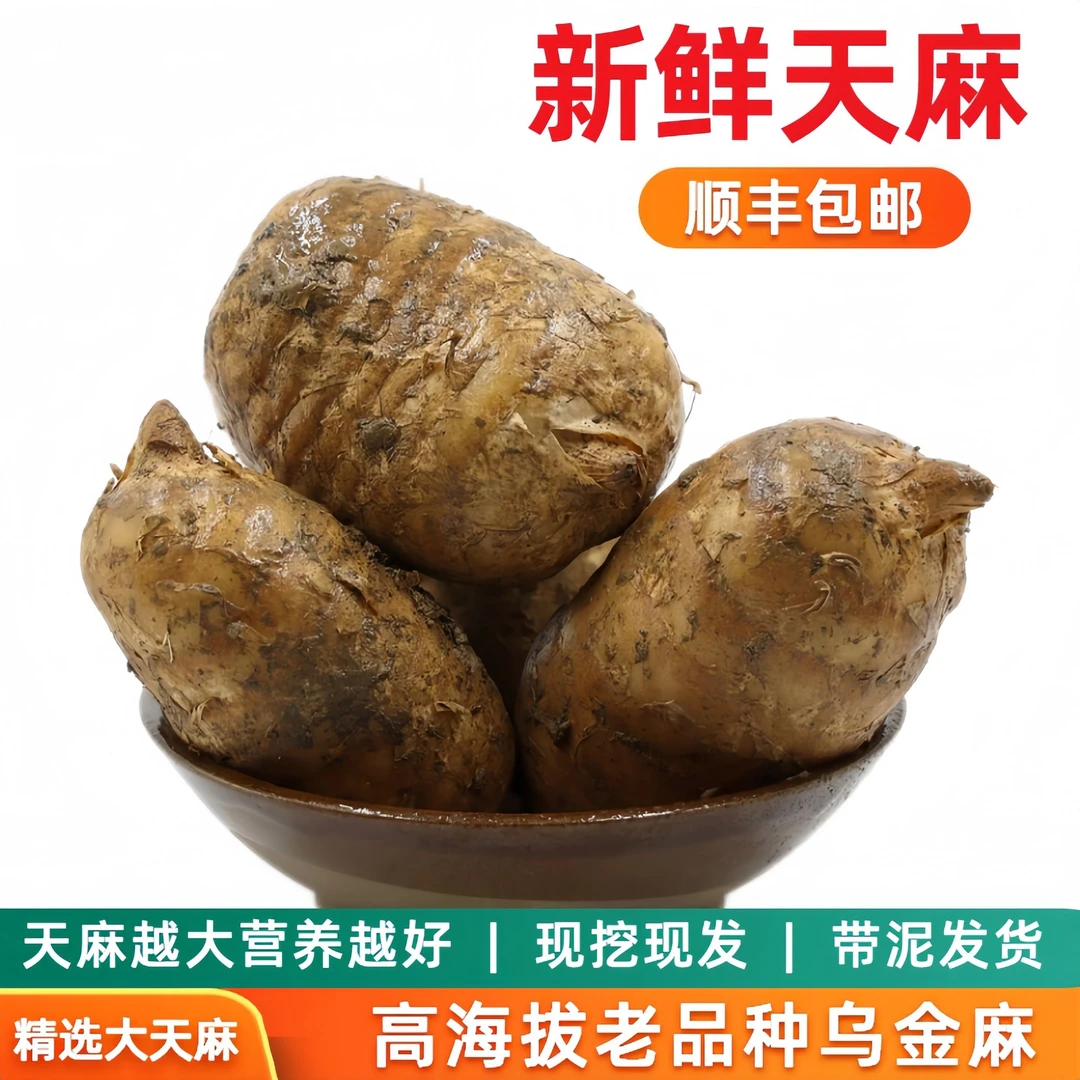 顺丰包邮精选大果新鲜天麻云南昭通小草坝天麻煲汤乌金麻现挖现发