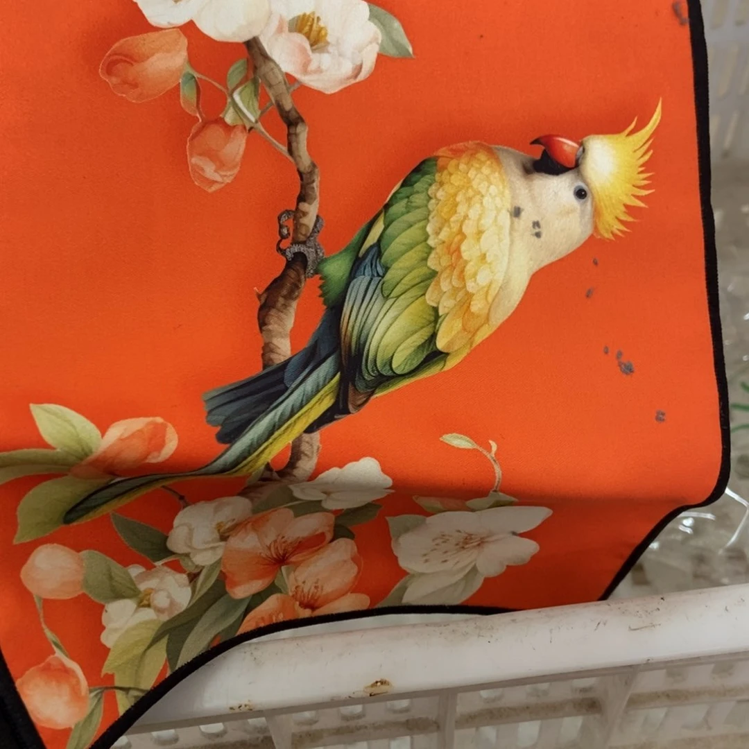 杯直播链接直播链接