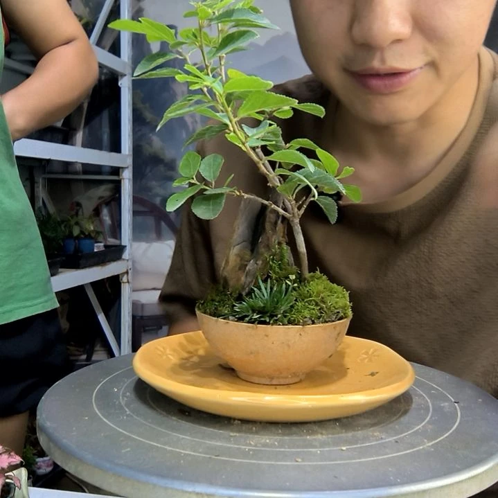 ～中青园艺一物一拍207