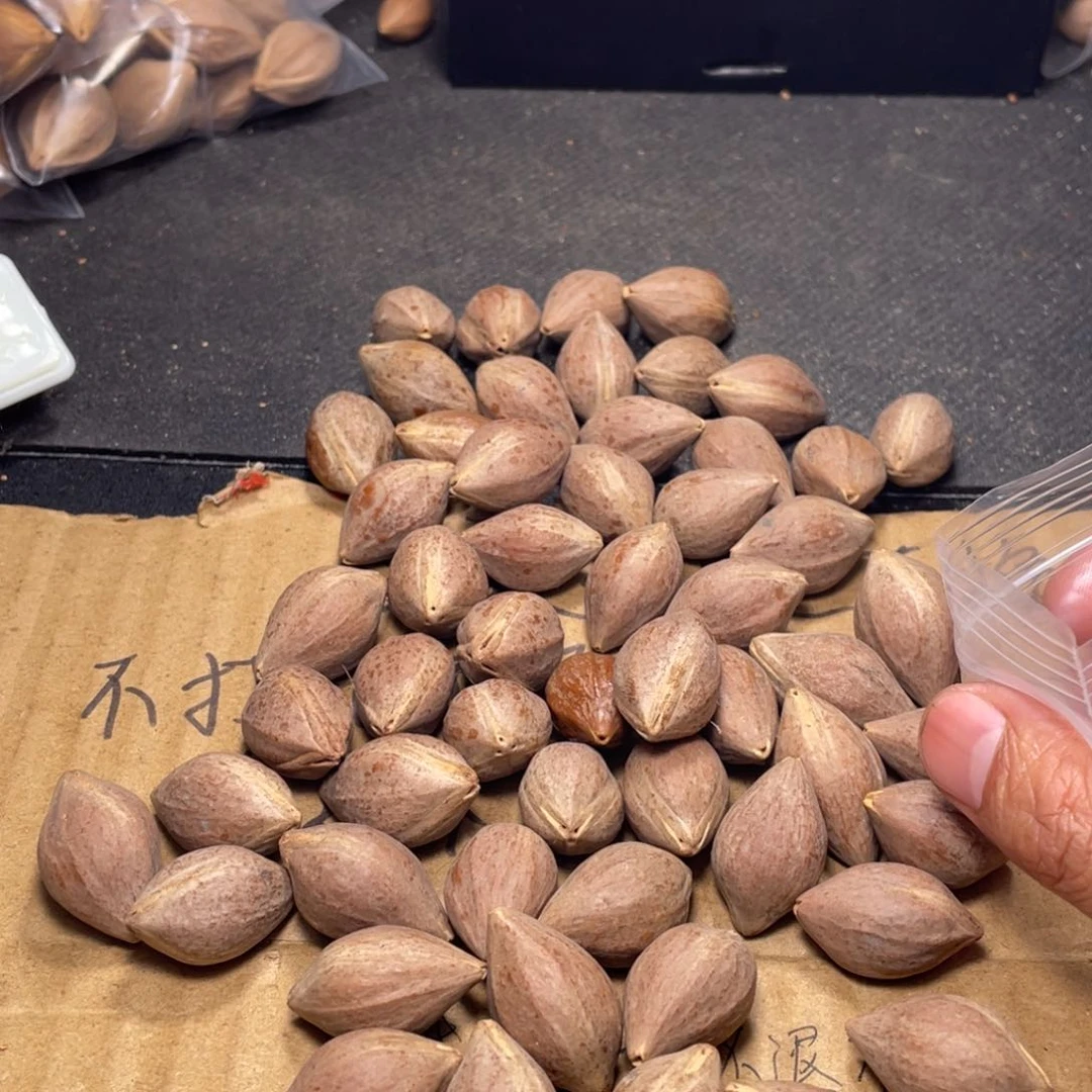 郑****者不退不换aaaaaaaaaaa