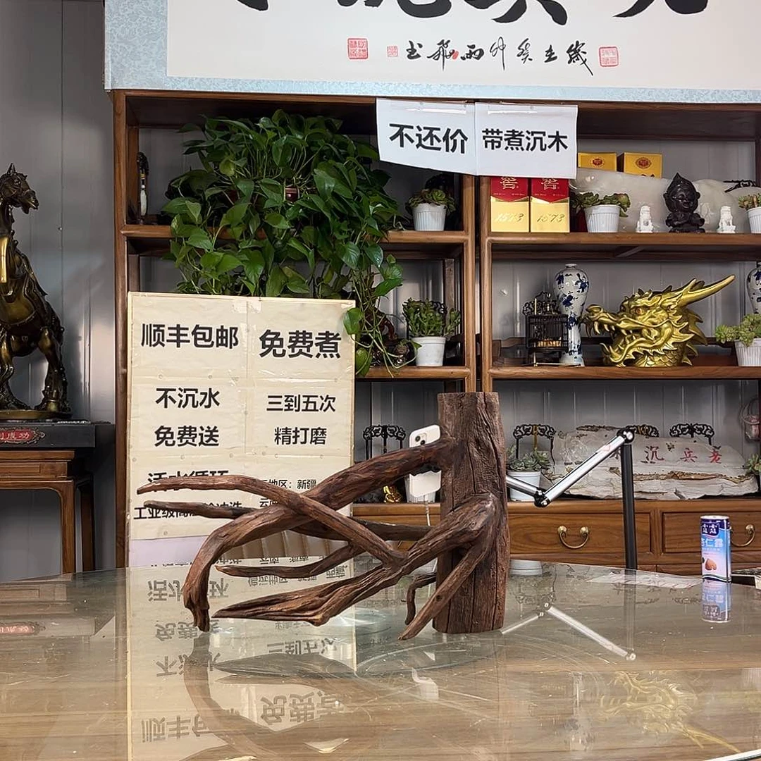 紫砂紫柚木↜**↝一木成景
