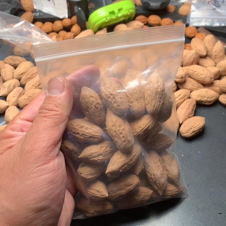 桃核吊坠@**@野生精品小核桃散籽