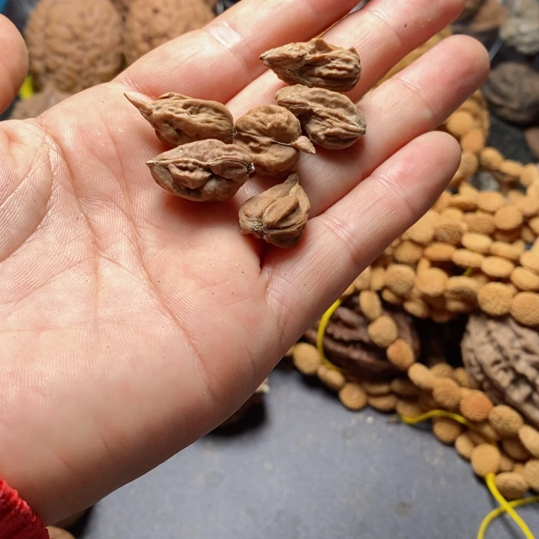 文玩核桃吊坠蜀***客核桃75