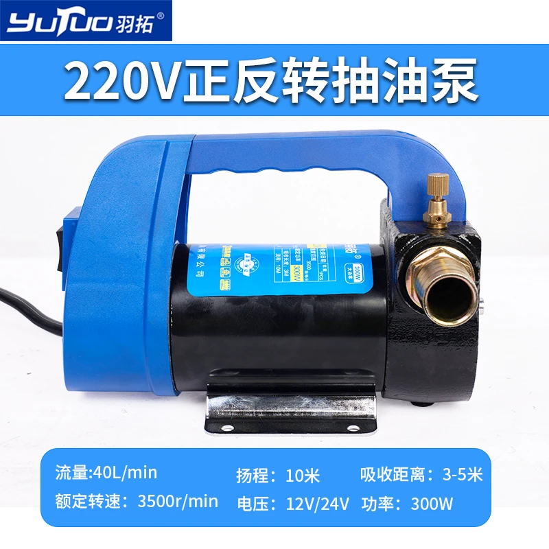 YUTUO/220v(300W正反转+溢流阀)手提式柴油泵