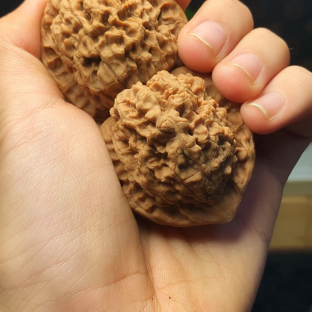 橄榄核手串/手链nbhhhhhhhhjjjjjjn