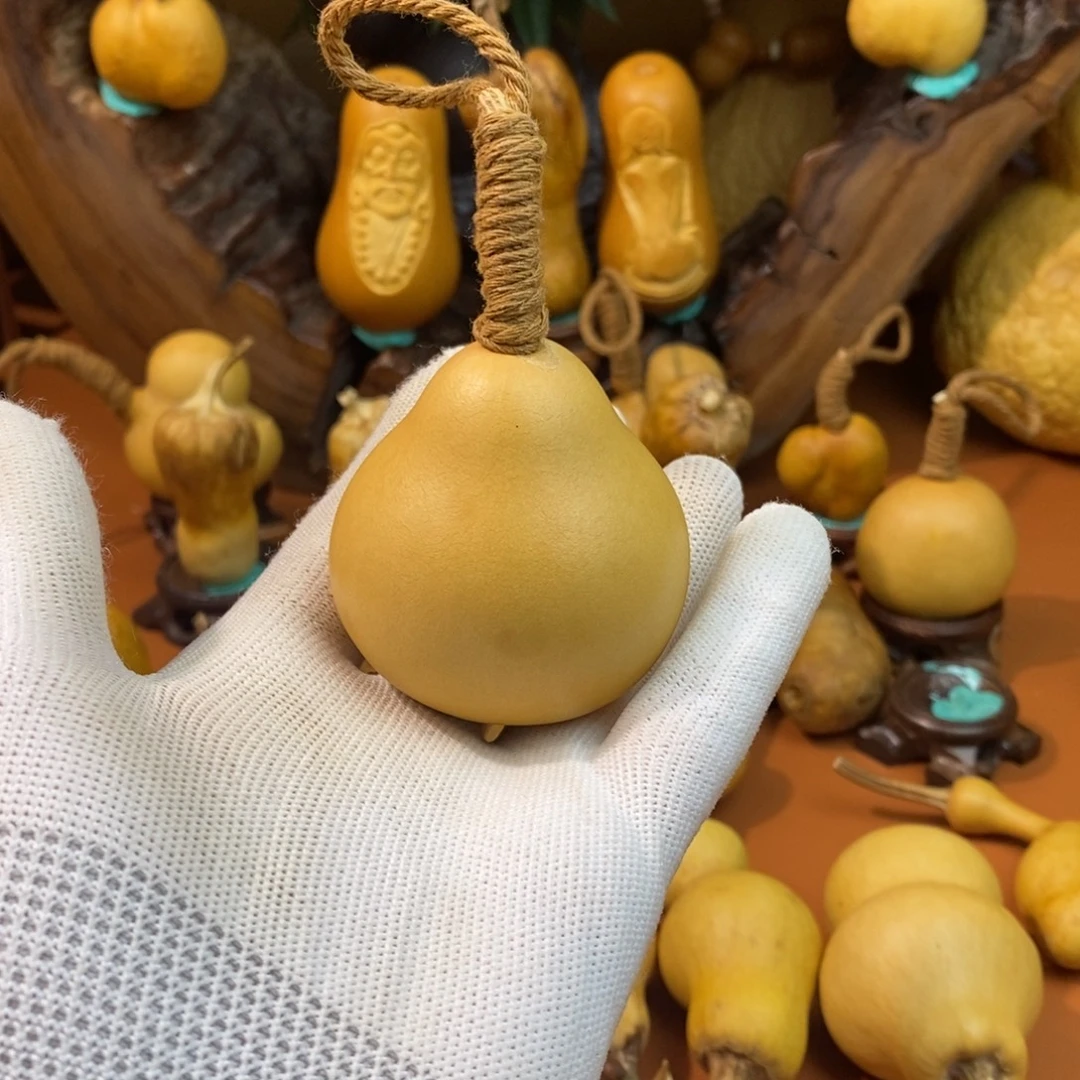 微***菜啦啦啦啦教练咯教练咯