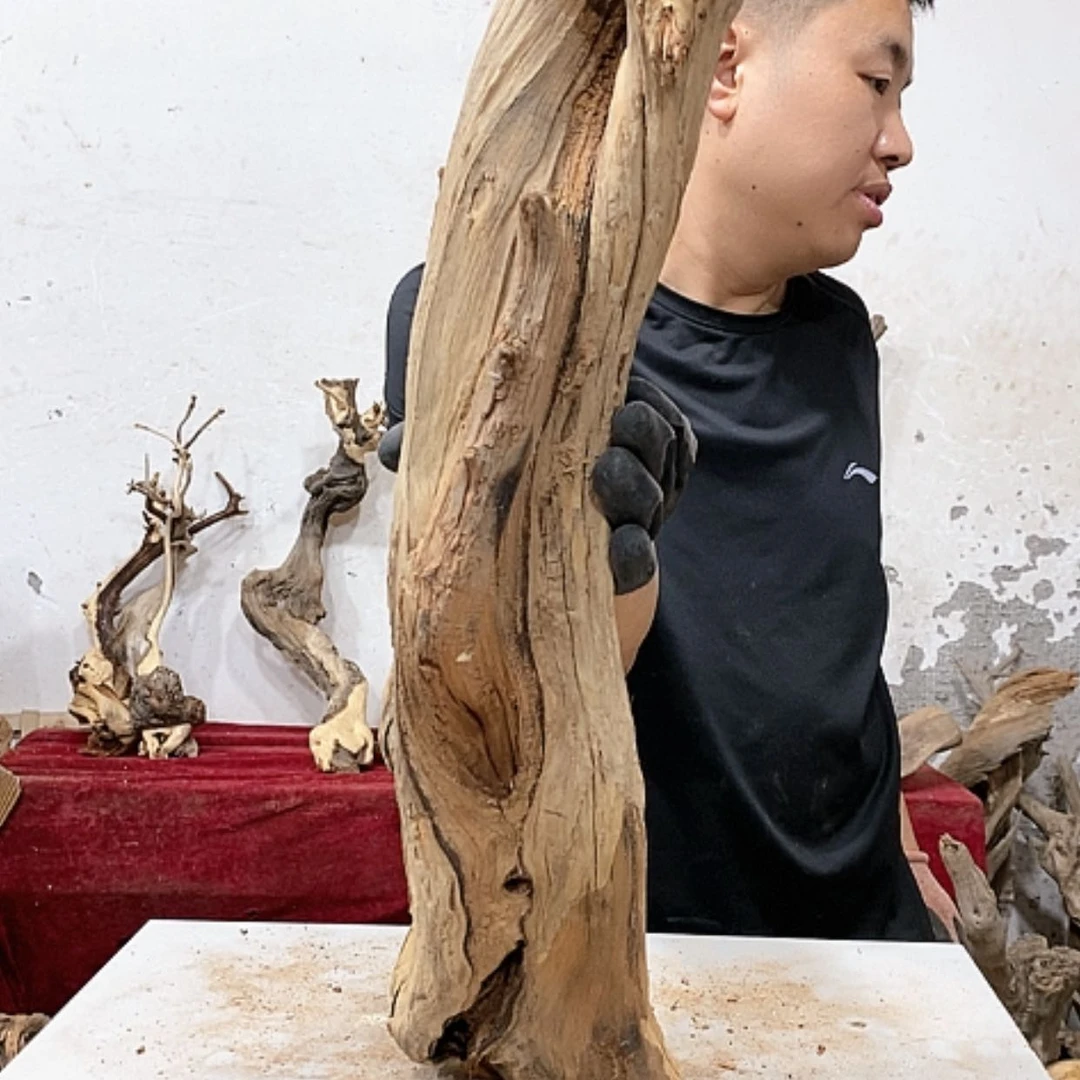 【闪购商品】柏木唐**哥我们都是好孩子