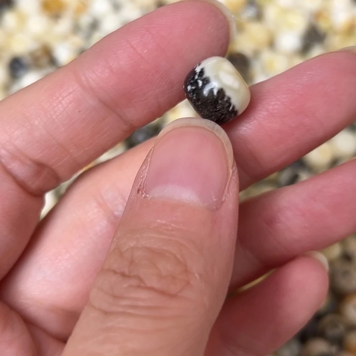 蜜蜡未镶嵌裸石10.2mm一个