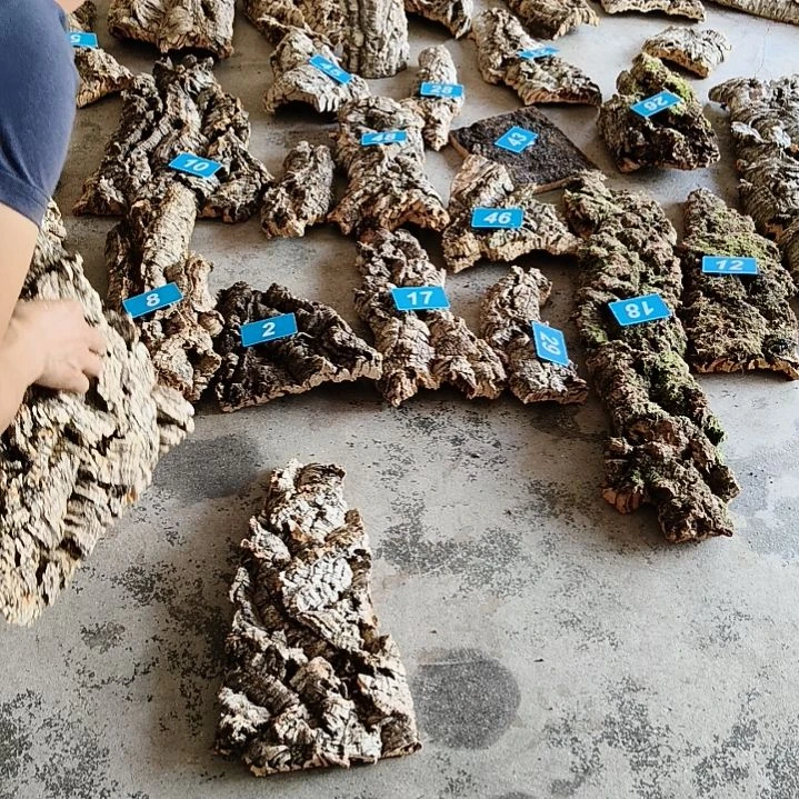小块料100元5斤111111